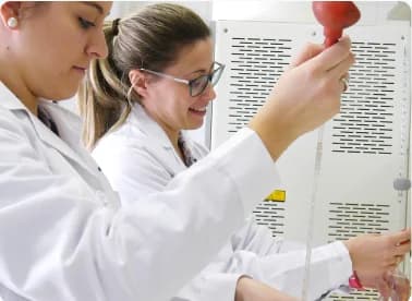 Laboratorio interno